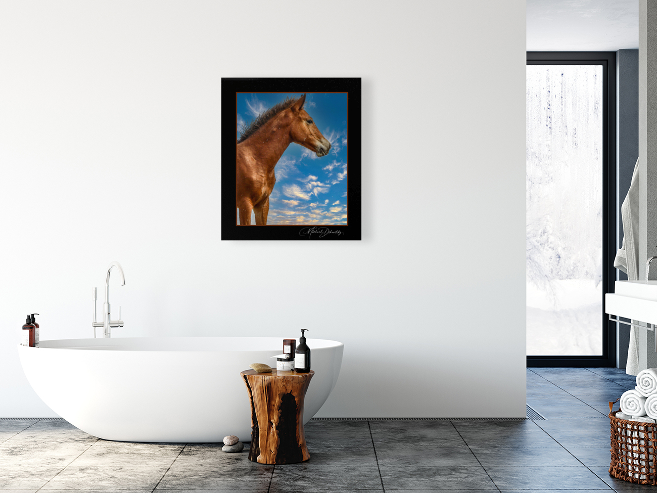 Wild Horse  Reproduction