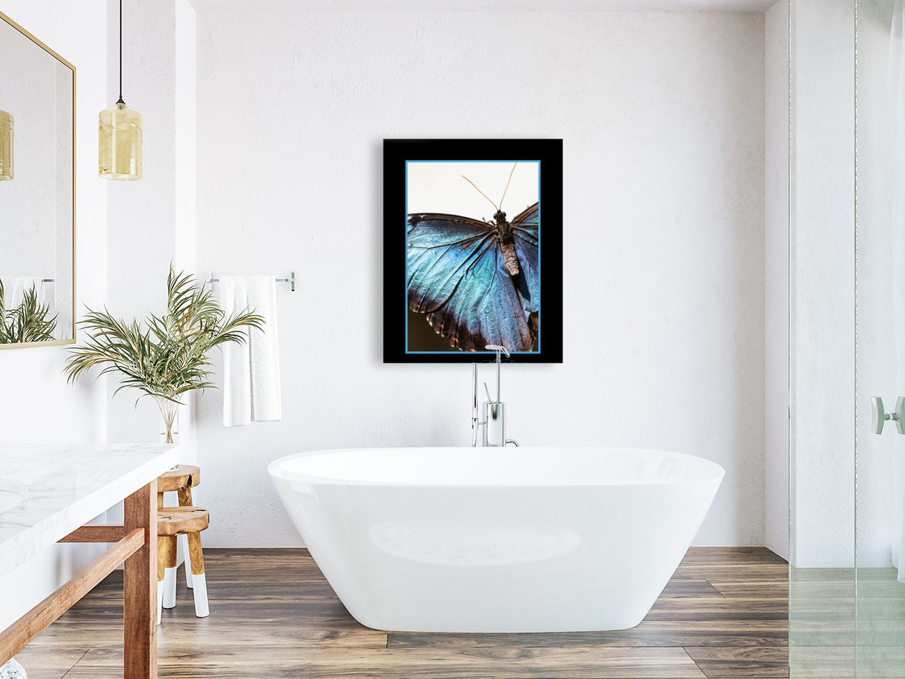 Blue Morpho Butterfly  Reproduction