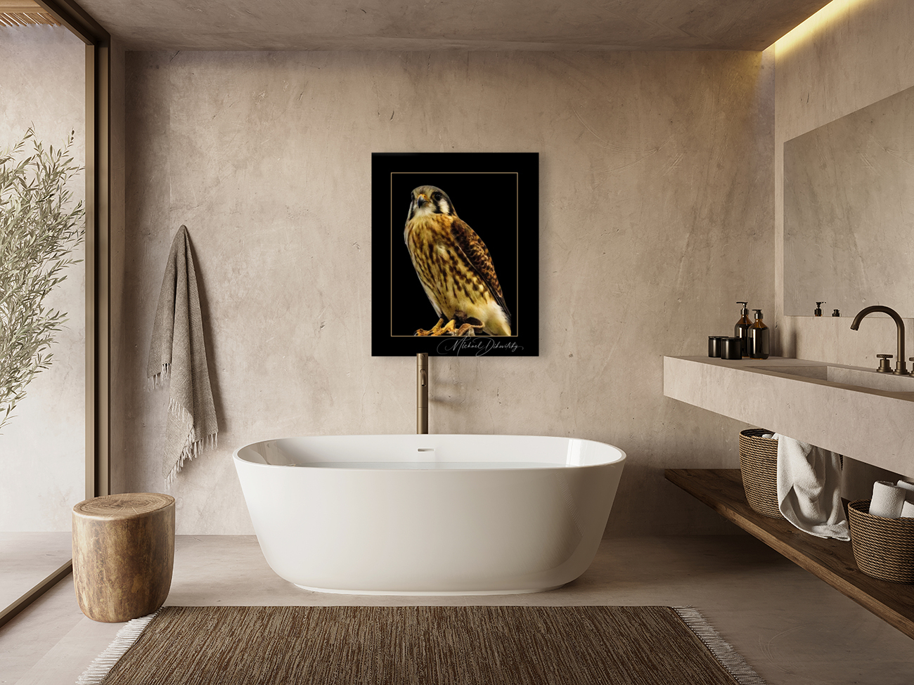 American Kestrel  Reproduction