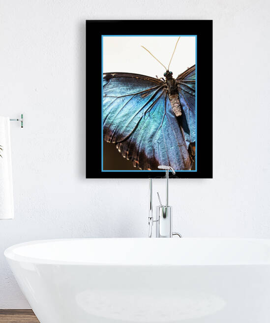 Blue Morpho Butterfly  by Michael Stephen Dikovitsky