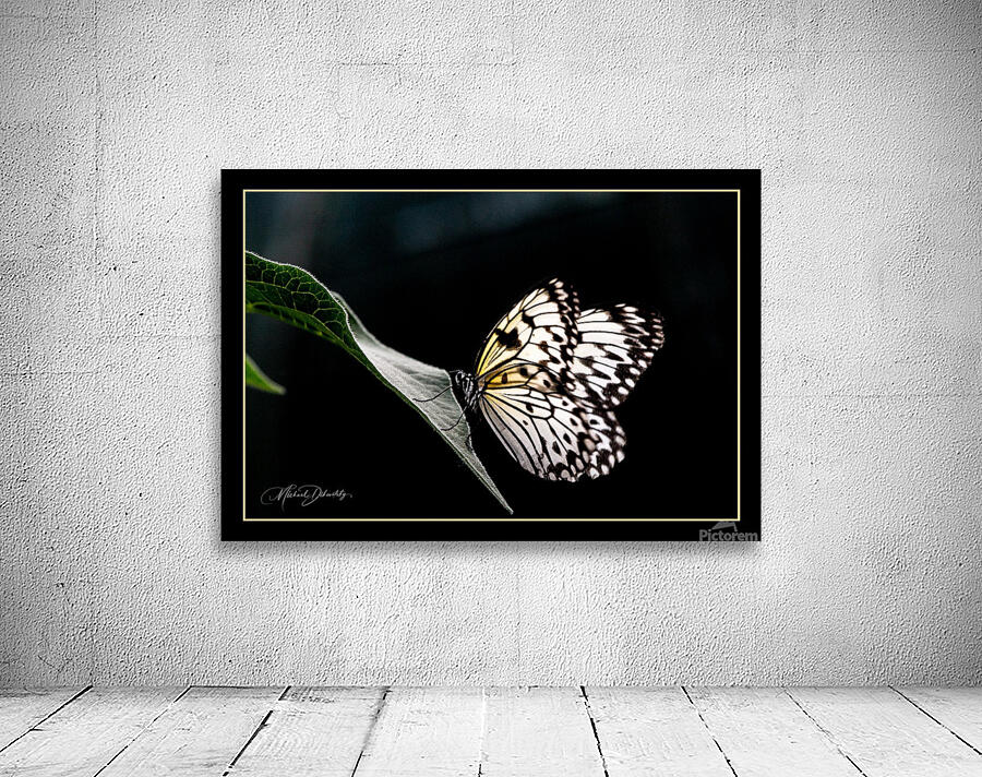 Serenity Butterfly  Wall Preview