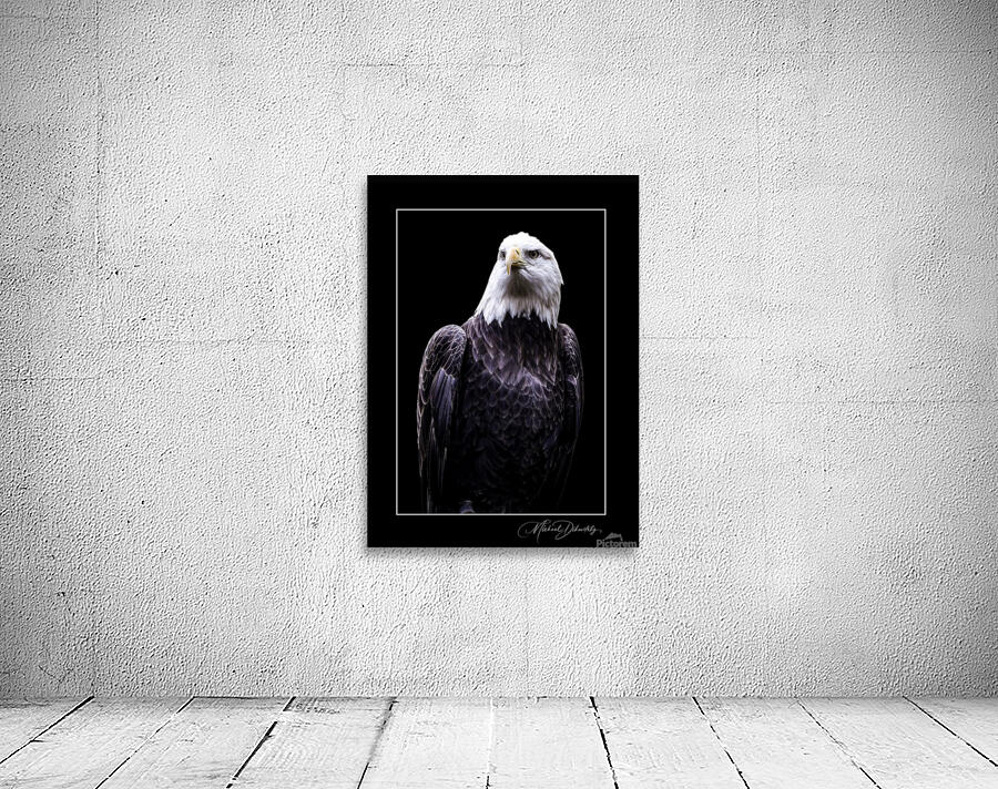 American Eagle  Wall Preview