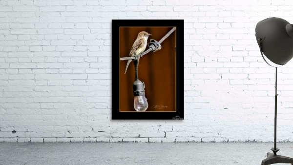 Bird on a Wire Wall Preview