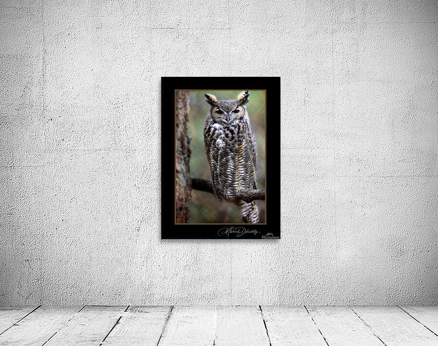 Horned Owl Wall Preview