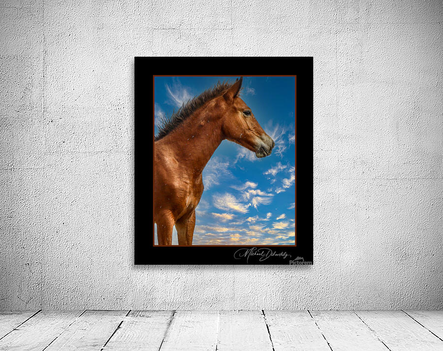 Wild Horse  Wall Preview