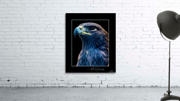 Golden Eagle Wall Preview