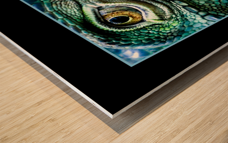 Iguana  Wood print
