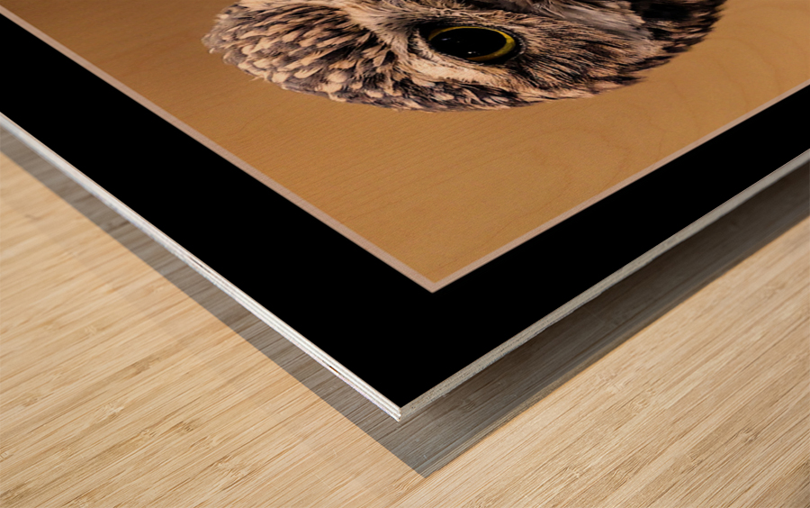 Desert Owl Wood print