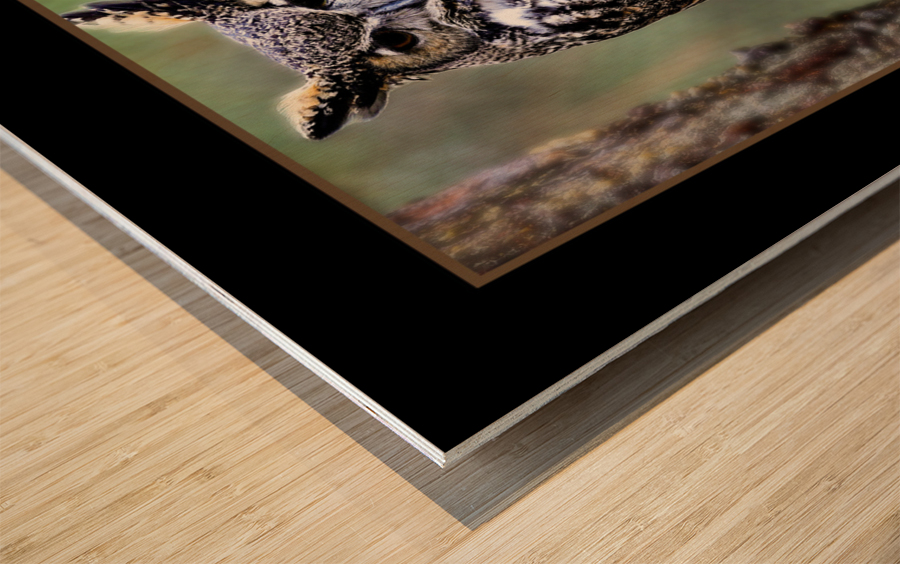 Horned Owl Wood print