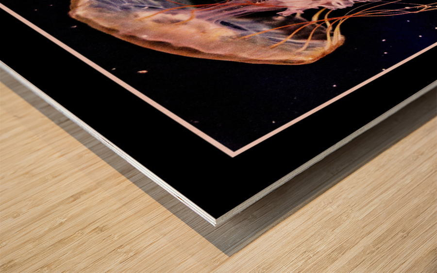 Jellyfish  Wood print