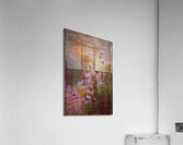Cherry Blossom Abstract  Acrylic Print