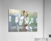 Arugula Flower Duo with Raindrops Acrylic Print