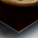 Half  Loaf of Bread  Metal print