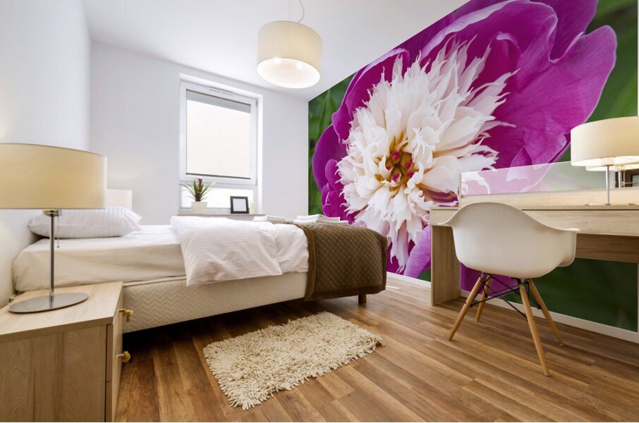 Sorbet Pink and Creme Peonie Flower Mural print