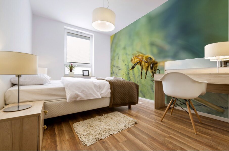 Honeybee Drinking III Mural print