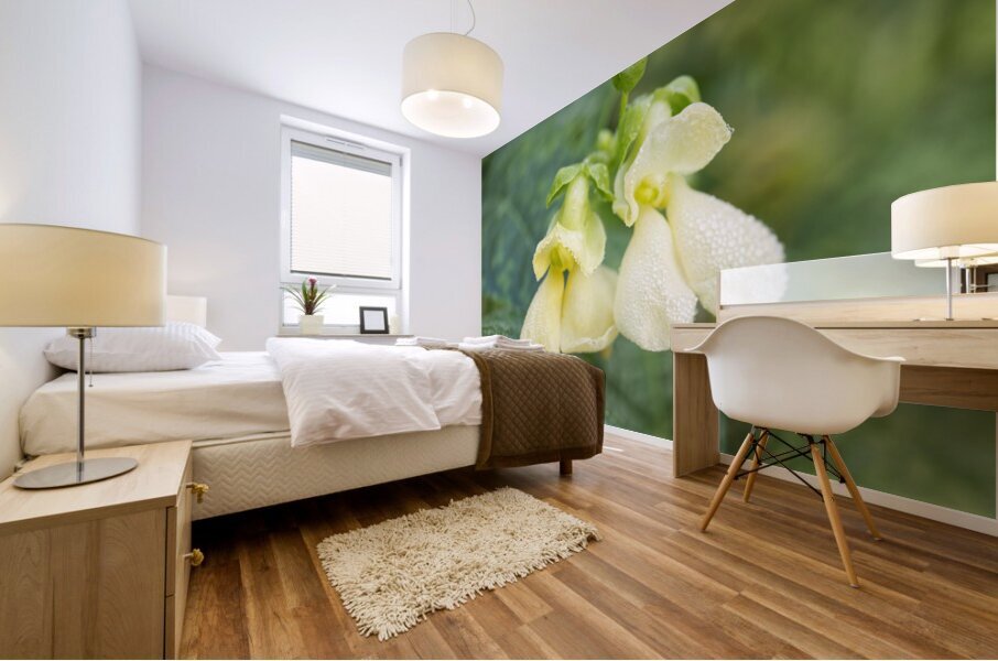 Bean Flowers Buttery Yellow  Mural print