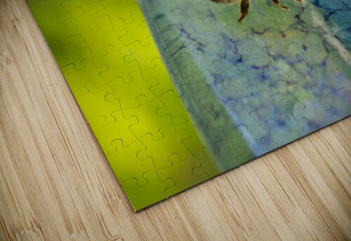 Honeybee Drinking II  Iris H Richardson puzzle