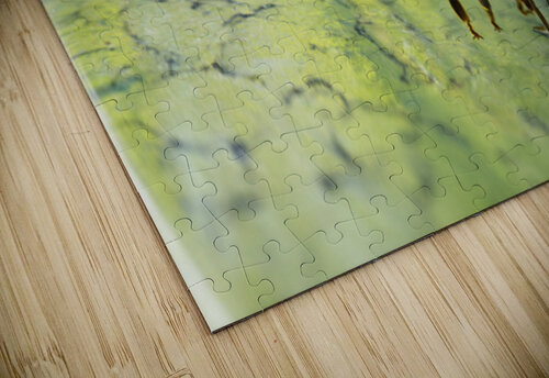 Honeybee Drinking III Iris H Richardson puzzle