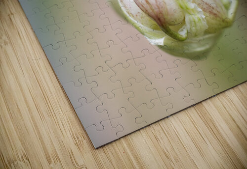 Small Garlic Bulbils  Iris H Richardson puzzle