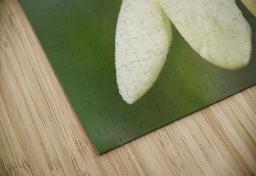 Yellow Green Bean Flowers 1001 Iris H Richardson puzzle