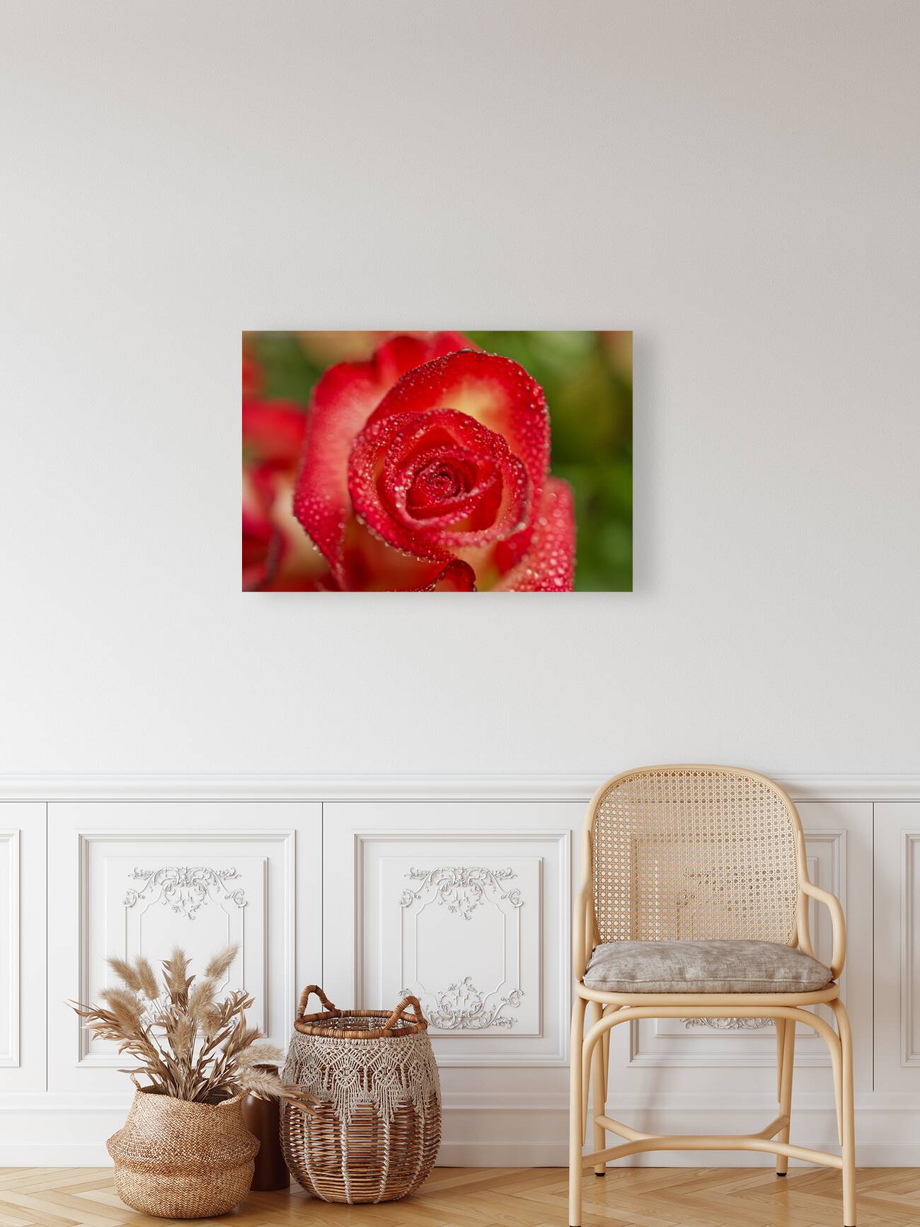 Red Blush Rose Macro III Reproduction