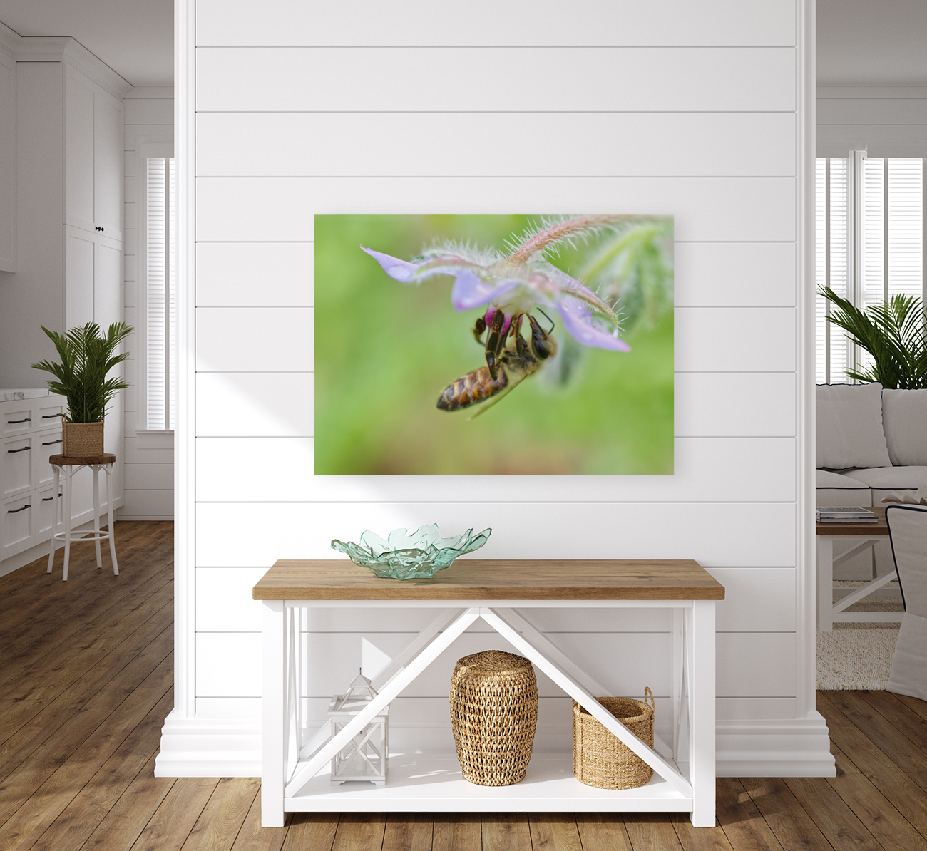 Honeybee Below Borage Flower Reproduction