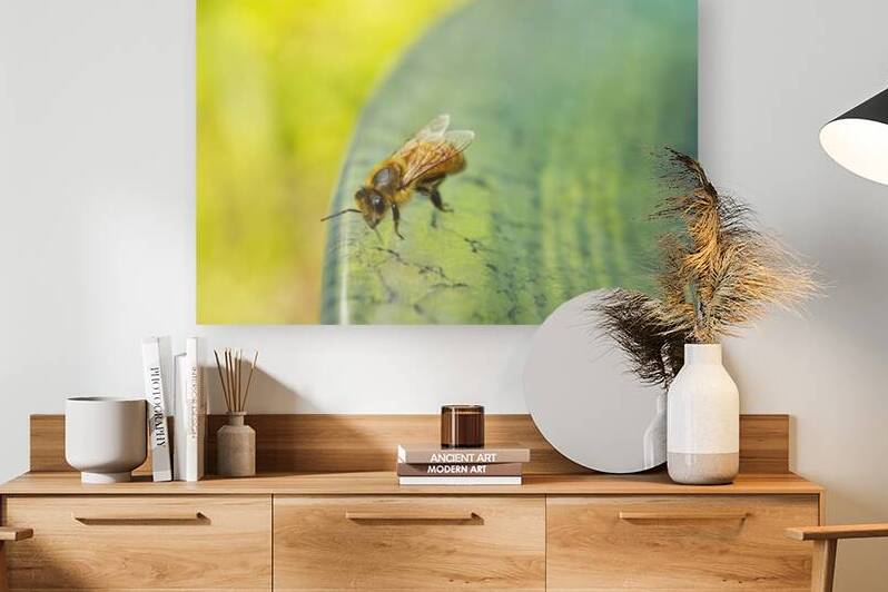 Honeybee Resting on Birdbath II by Iris H Richardson