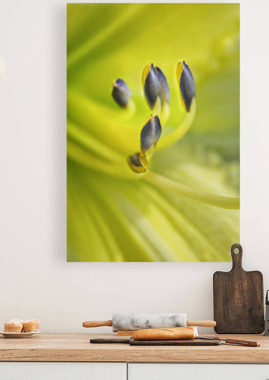 Green Yellow Lily Stamen by Iris H Richardson