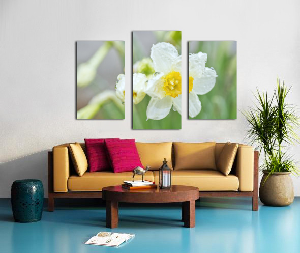 Drawf Daffodils Flower After A Spring Rain by Iris H Richardson