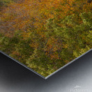 Fall at Hyco Lake Metal print