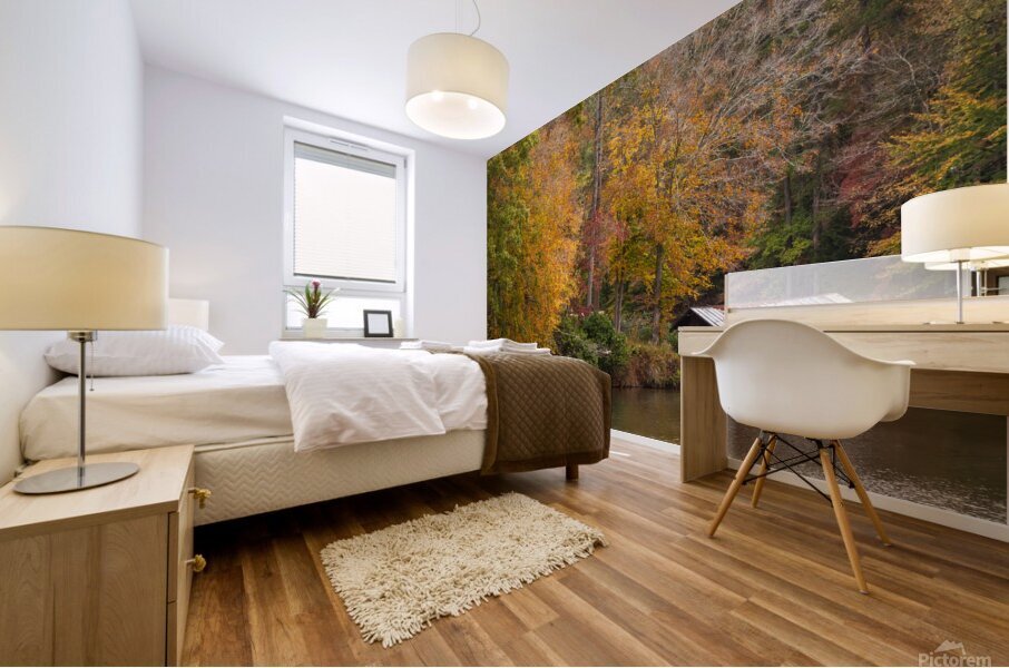 Fall at Hyco Lake Mural print