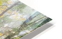 Mountain Trail HD Metal print