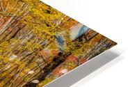 Fall Road Trip on the Parkway HD Metal print