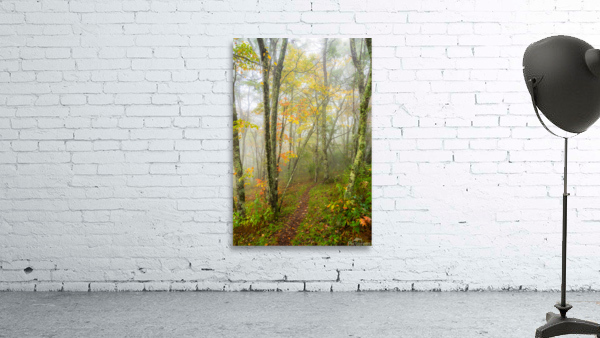 Mountain Trail Wall Preview