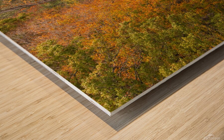 Fall at Hyco Lake Wood print