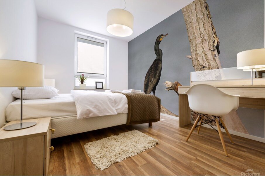 Cormoran4 Mural print