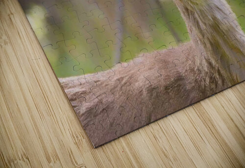Biche3 SHARPEYE puzzle