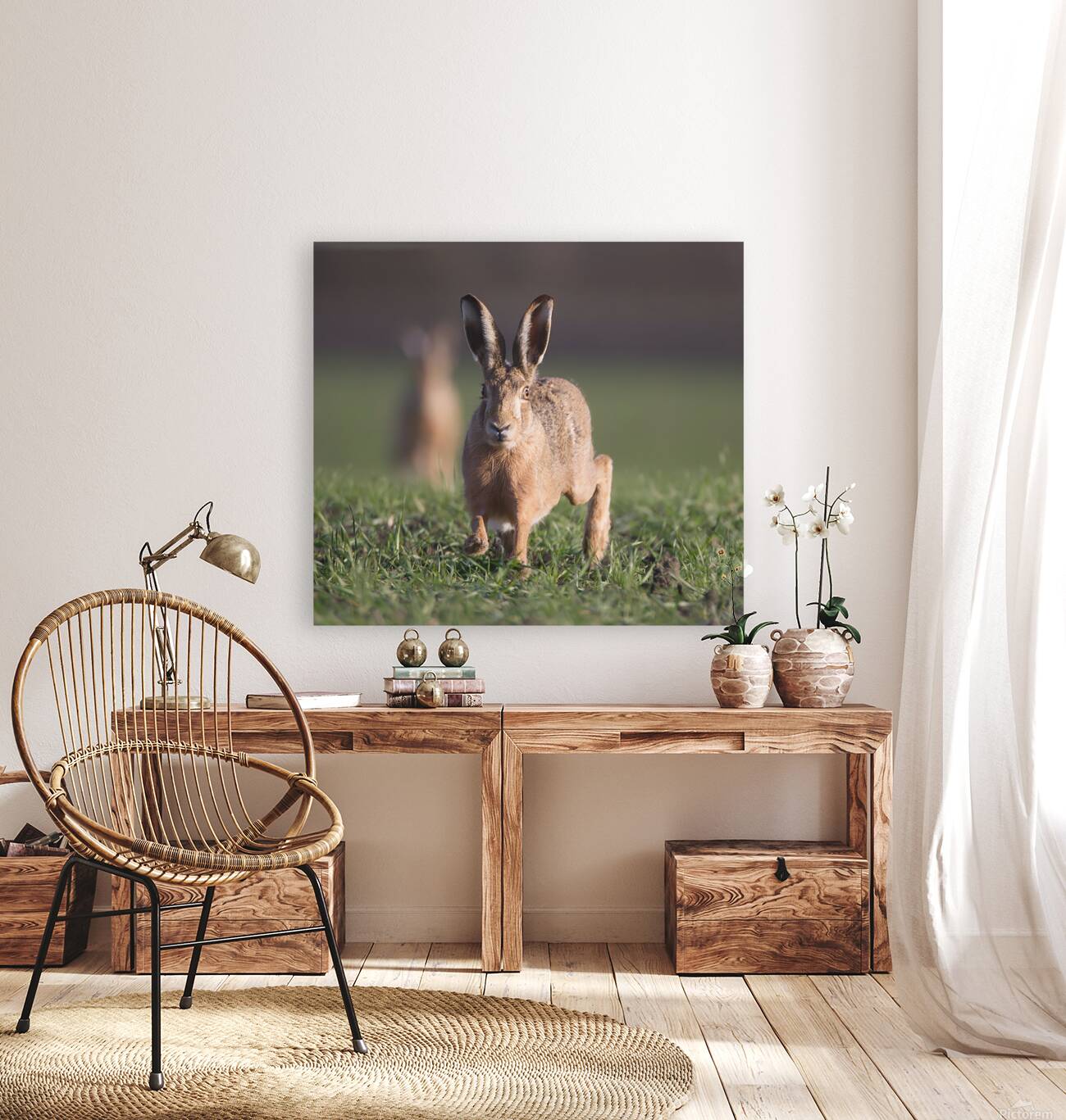 Lievre1 Reproduction