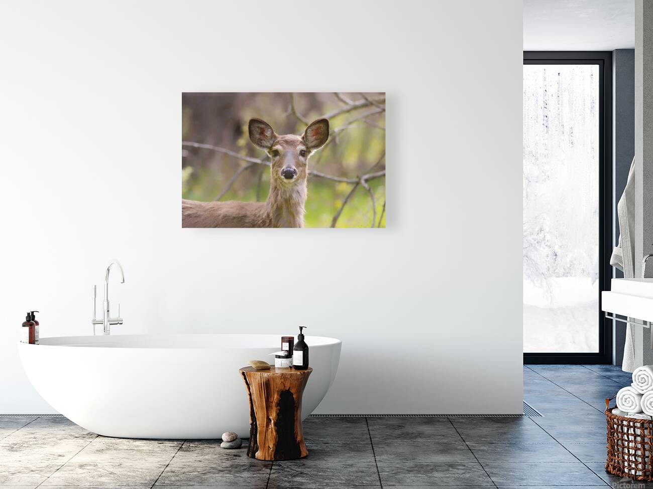 Biche3 Reproduction