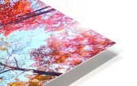 Foret3 HD Metal print