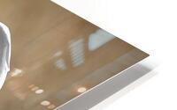 Heronblanc1 HD Metal print