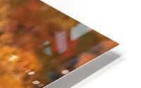 Outarde 5 HD Metal print