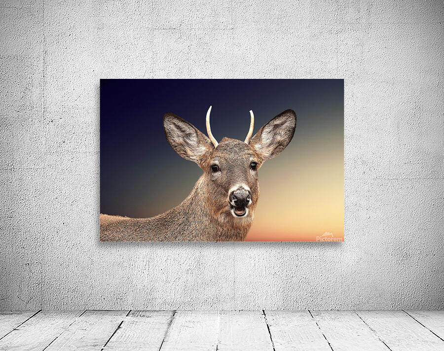 Art cerf 3 Wall Preview