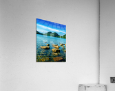 Summer at Jordan Pond Acrylic Print