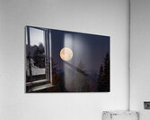 Forest Moon 2 Acrylic Print