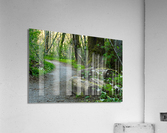 Consider the Lilies  Acrylic Print