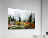 Misty Autumn Acrylic Print