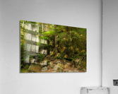 Riverbend Trail Acrylic Print