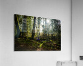 Morning has Broken Acrylic Print