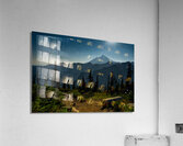 Come  Sit Acrylic Print